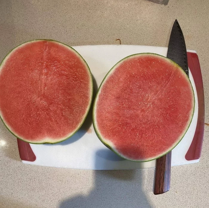 Should I buy a lottery ticket? - Watermelon, Summer, Luck, Pitted