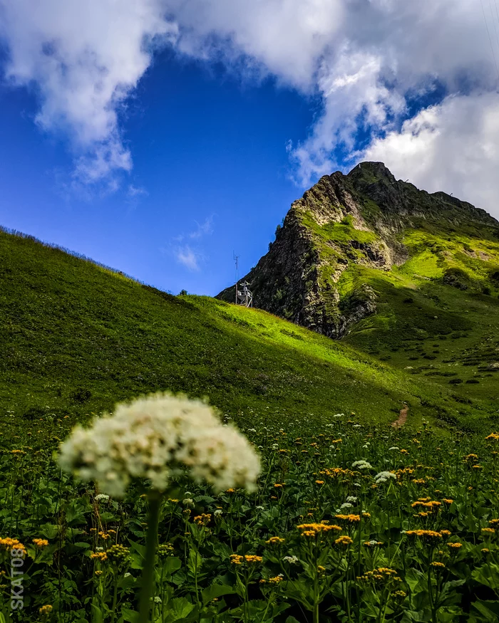 Where the brain begins to rest - My, Nikon d3400, The mountains, Krasnaya Polyana, Краснодарский Край, Sochi