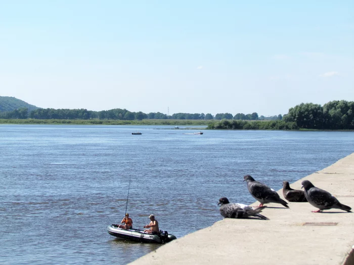 Guys, look! It's biting! - My, Fishing, River, Oka, Pigeon