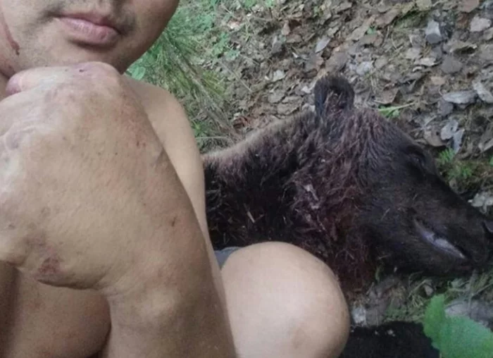 The answer to the post Yakutian Ivan Kirillin, who killed the bear that attacked him with a knife: My heart is still pounding the photo turned out to be a fake - Yakutia, The Bears, Aldan, Attack, Fake, Longpost