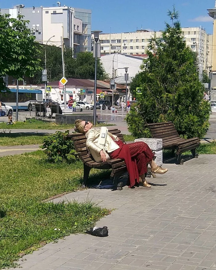 And let the whole world wait - My, Saratov, Relaxation, And let the whole world wait, Bench, Pigeon, Female, The photo, Women