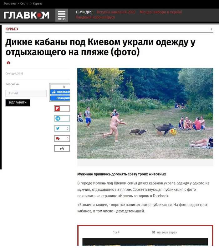 Ответ на пост «Ворюга кабан» работа Украинских СМИ в картинках Кабан, Берлин, Нудизм, Германия, СМИ и пресса, Профессионализм, Длиннопост