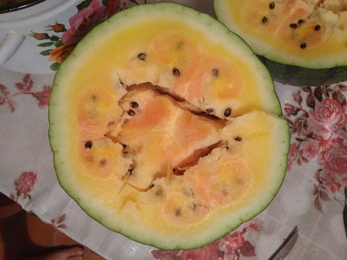 Двухцветный арбуз