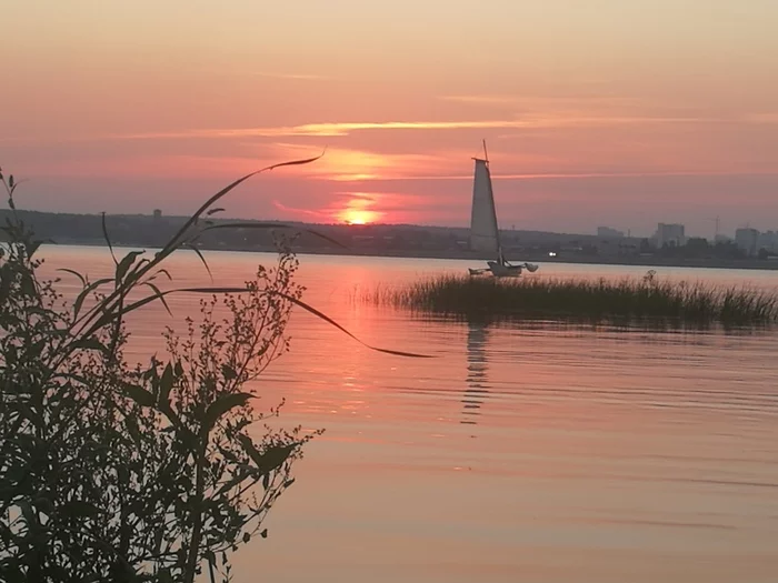 Trimaran - Trimaran, Yachting, Sunset