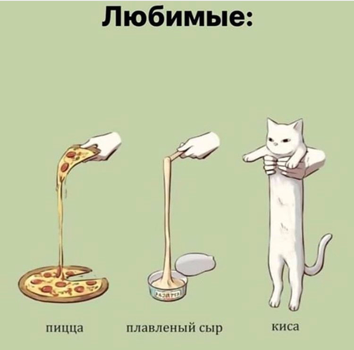 Можно ли есть сыр с плесенью при аллергии на пенициллин