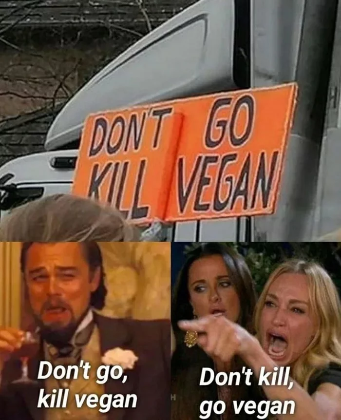 Don,'t go kill vegan - Рокк ебол, Две женщины орут на кота, Веганы