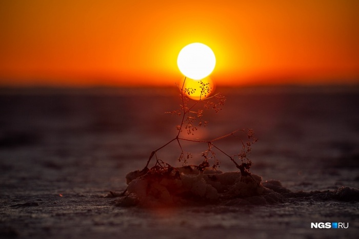 Как на Марсе: репортаж с озера Бурсоль — одного из самых красивых мест в Сибири, где по воде ходит чудо-поезд Сибирь, Алтай, Алтайский край, Степь, Озеро, Соль, Соленое озеро, Видео, Длиннопост, Позитив