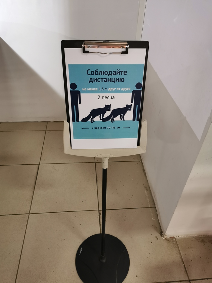 ��� ���������