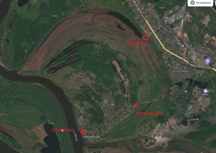 Гадские гады