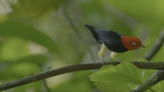 Когда залезаешь в карман и не можешь нащупать ключи