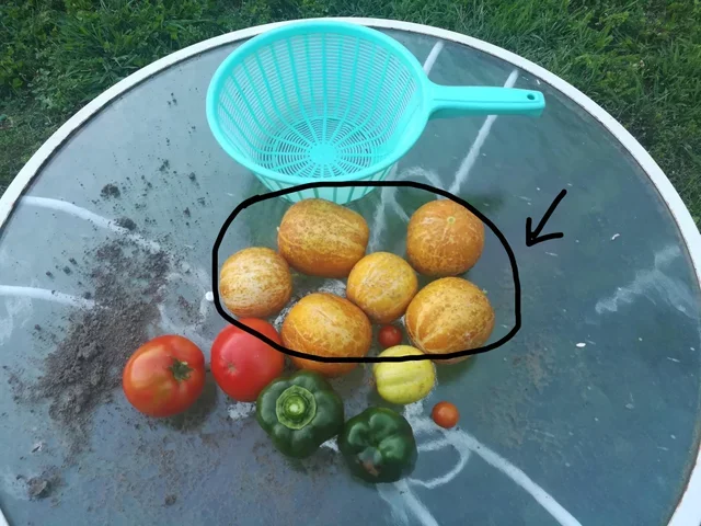 Что это за штука - 103 Reddit, WhatIsThisThing, Перевел сам, Видео, Длиннопост Что это за штука - 103 Reddit, WhatIsThisThing, Перевел сам, Видео, Длиннопост