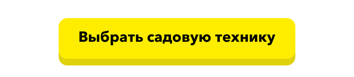 Красивые девушки в модных трусиках