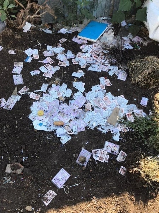 Near Orenburg you can see a dump of laminated documents - Negative, Orenburg, Driver's license, Documentation