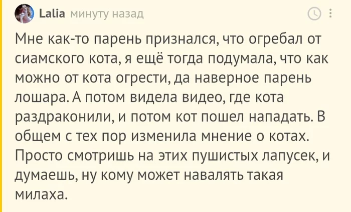 Милаха может навалять - Комментарии на Пикабу, Кот, Собака, Подборка, Гифка, Длиннопост, Скриншот