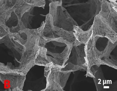 Russian chemists have created a catalyst for fuel cells from graphene-Teflon airgel - My, Graphene, Fuel Cells, Energy (energy production), Chemistry, Longpost