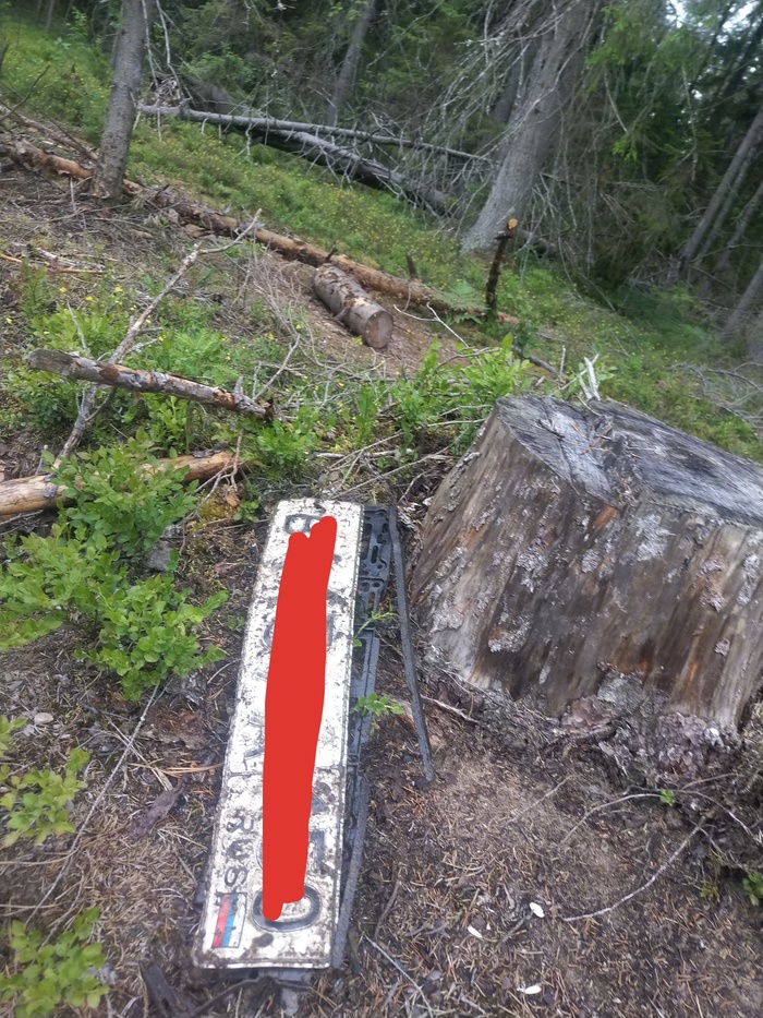 Потерял-нашел-не нашел (