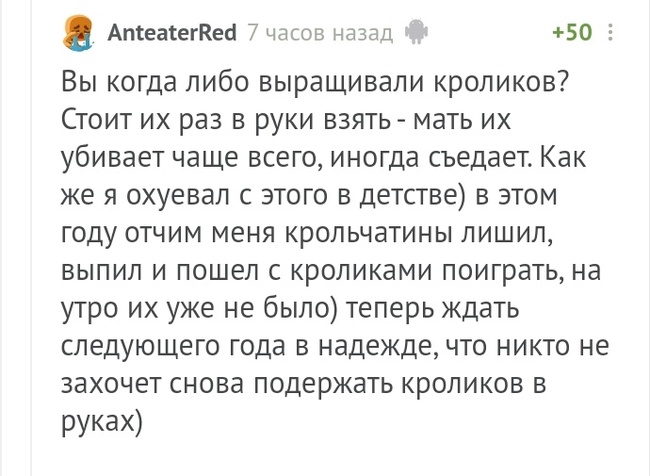 И помни: один раз возьмёшь его в руки и всё - потомства не будет - Комментарии на Пикабу, Кролик, Длиннопост, Скриншот