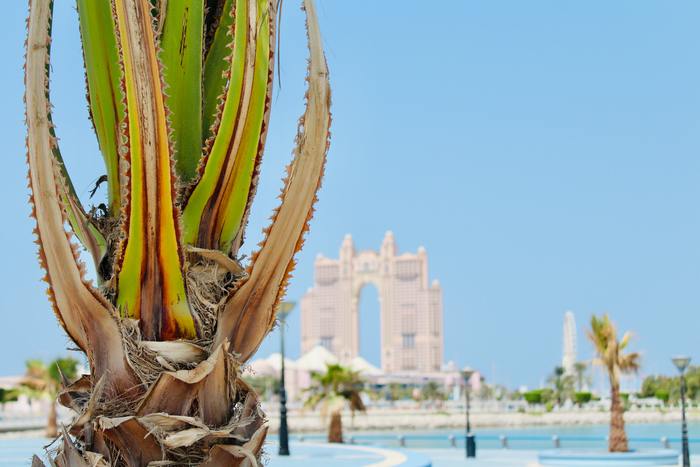 Абу-Даби - восточная сказка и современный мегаполис в ОАЭ Путешествия, Туризм, Отдых, Интересные места, ОАЭ, Абу-Даби, Длиннопост