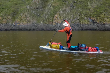 Bear guests - The Bears, Amur region, Nikolaevsk-On-Amur, SUPsurfing, Expedition, Sport, Russian Geographical Society, Longpost