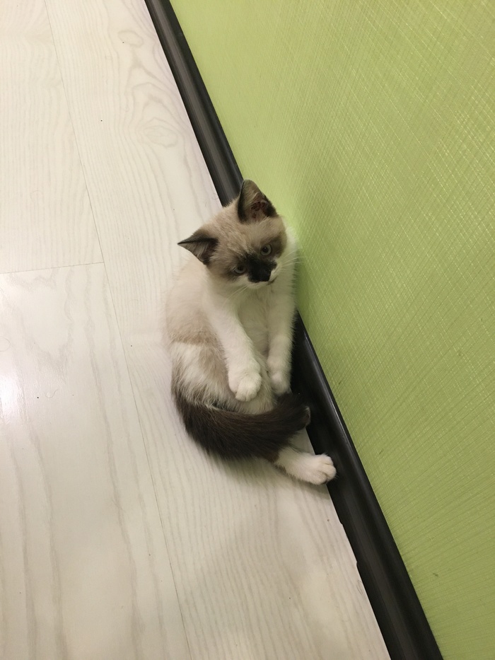 �� ����...