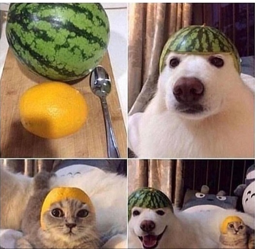 Стильно, модно, молодёжно!