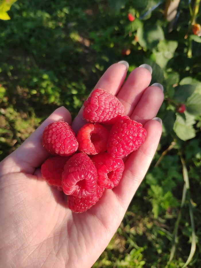 ������� �����?)