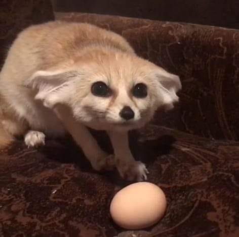 ��� ������������