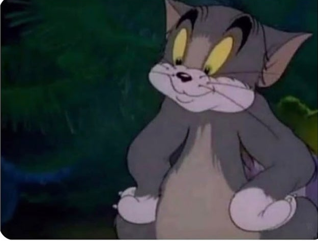 6 year old me: *talking about an amazing and cool adventure filled with my imagination that I just had outside* - Grandmother, Tom and Jerry, Reddit