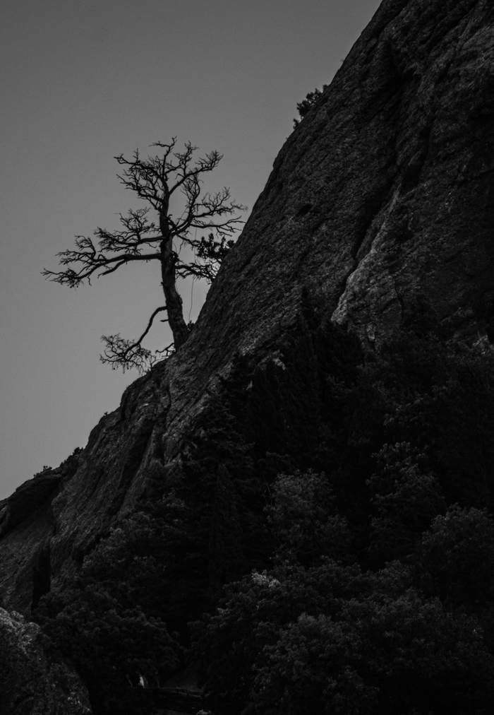 ������ �� ������ ���� ����-���