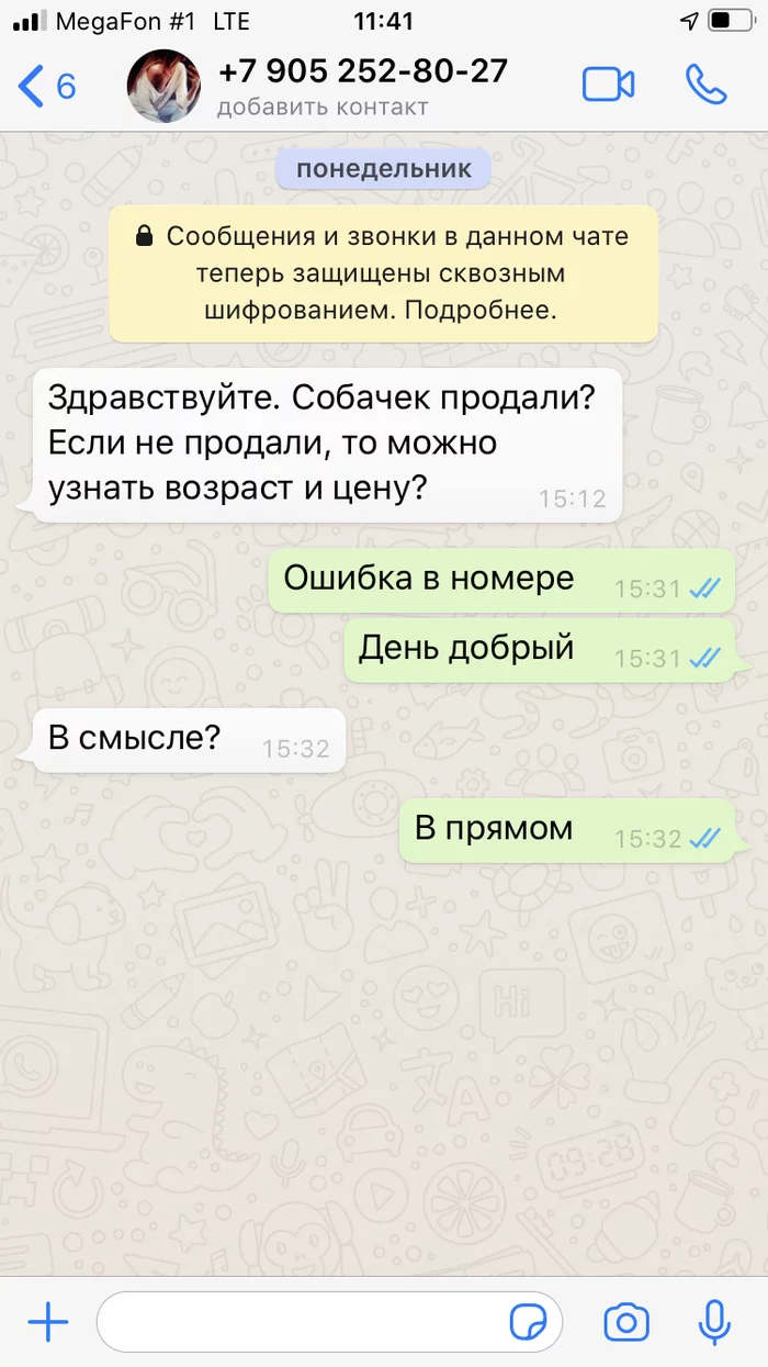 How I sold Spitz through Avito - Divorce for money, Saint Petersburg, Avito, Spitz