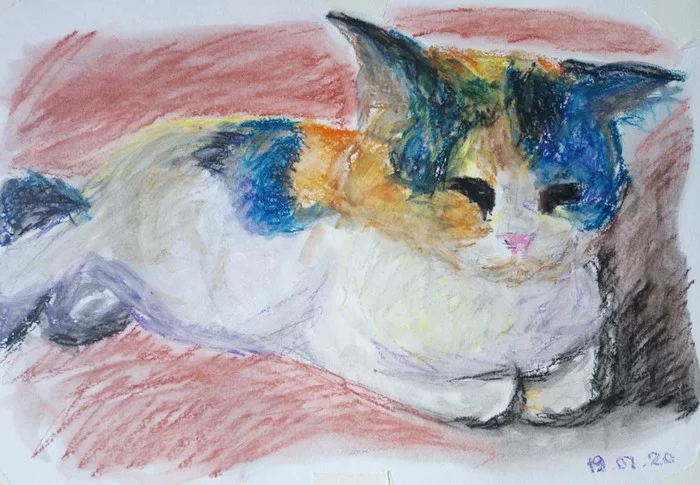 Cat - My, Drawing, cat