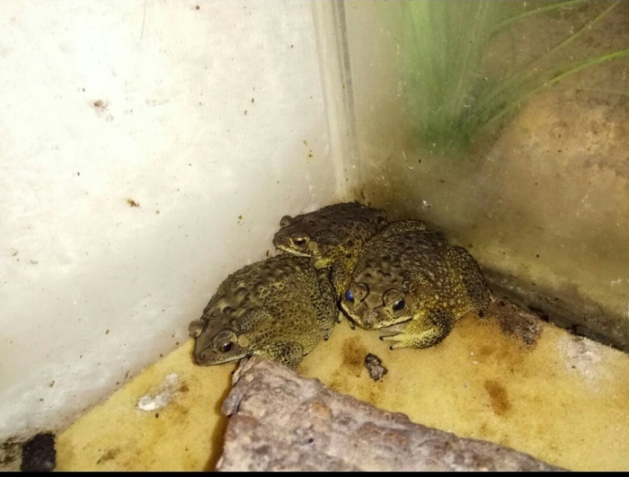 ����� ������