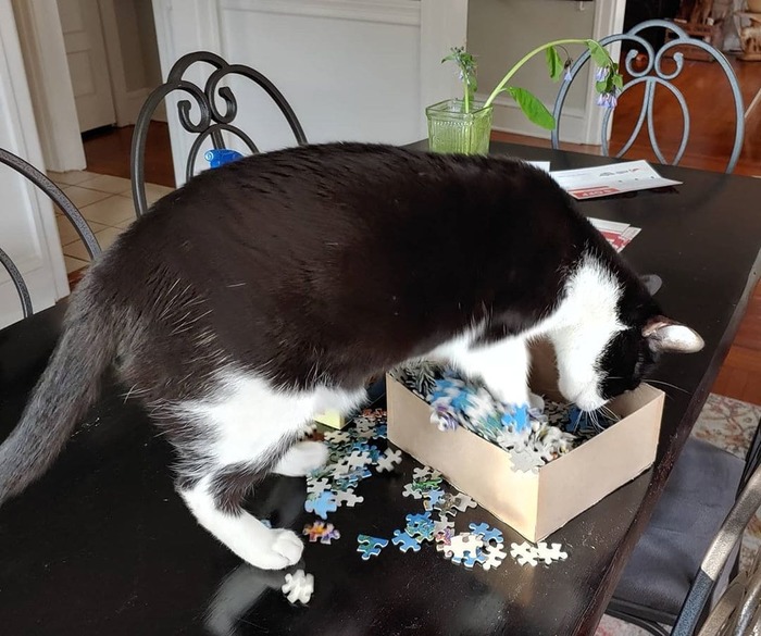 ���� ���-�� ������