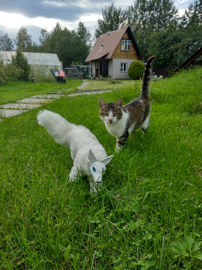 Белый клык Полимерная глина, Творчество, Хобби, Рукоделие без процесса, Длиннопост, Своими руками, Рукоделие