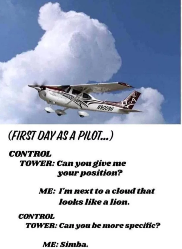 First day in the pilot's seat of MS flight simulator - Reddit, Humor, Translated by myself