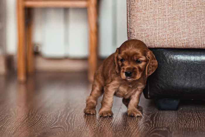 ����� �������� ��� � �����