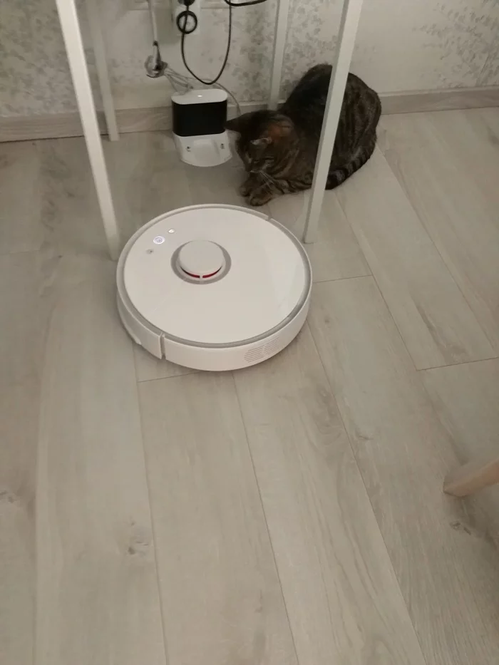 Unsuccessful repair xiaomi roborock swipe one - Xiaomi, Robot Vacuum Cleaner, Bad service, Repair of equipment, Need help with repair, No rating, Longpost, cat