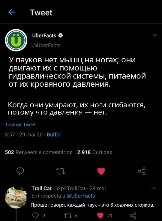 Теперь вы знаете больше - Паук, Twitter, Ноги, Мышцы, Давление, Стояк