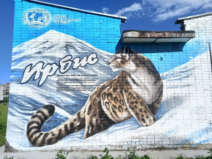 Graffiti in Yoshkar-Ola. Part 2 - My, Yoshkar-Ola, Mari El, Graffiti, Drawing on the wall, The photo, Video, Snow Leopard, May 9 - Victory Day, Eshkin cat, Bumblebee, Longpost