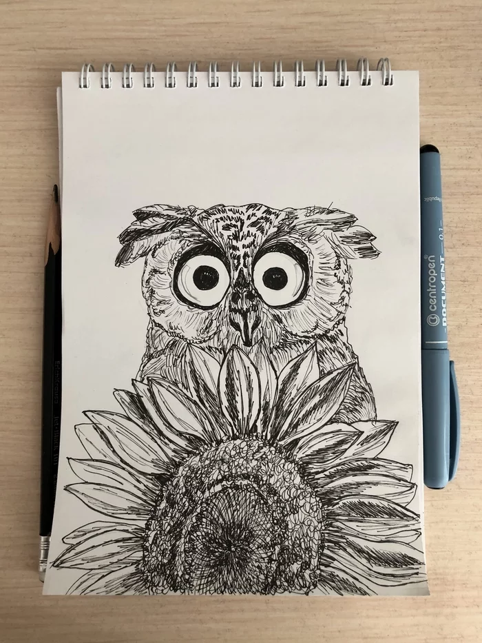 Animals with liner and marker - My, Drawing, Beginner artist, Artist, Animals, Birds, Liner, Sketch, Longpost