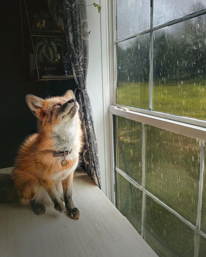     , ,  ,  , 