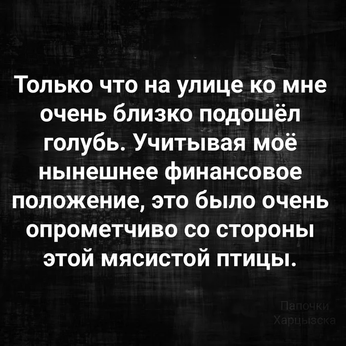 О финансовом положении - Юмор, Картинка с текстом, Голубь, Птицы, Финансы, Опрометчивость