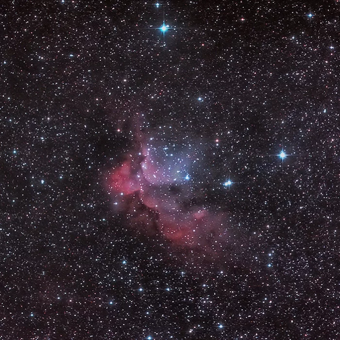 Рассеянное звёздное скопление с туманностью Колдун (NGC 7380) - Моё, Астрономия, Астрофото, Туманность, Звездное скопление