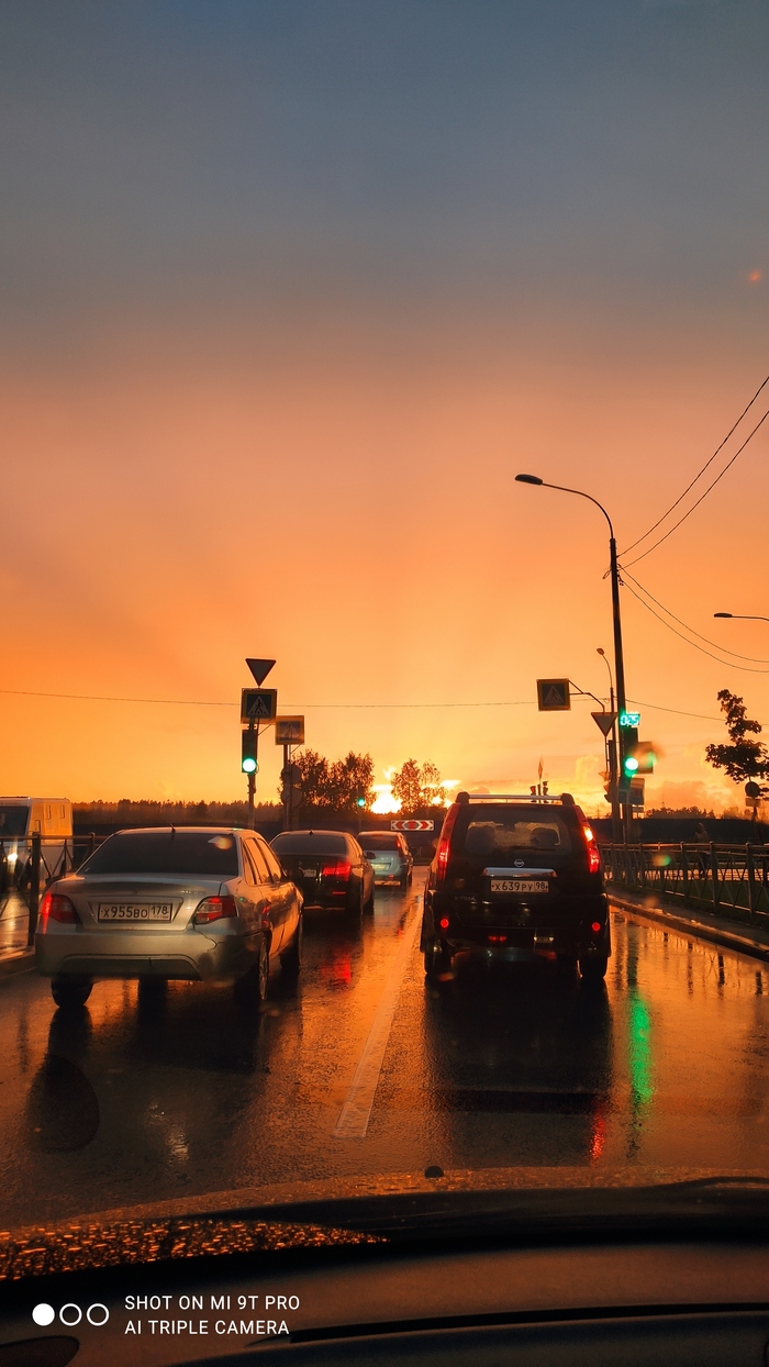 �����. ��� ������