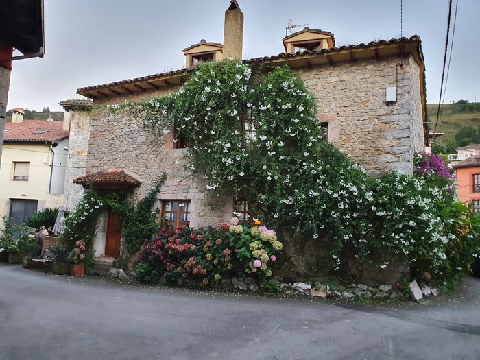 Дом в зелени