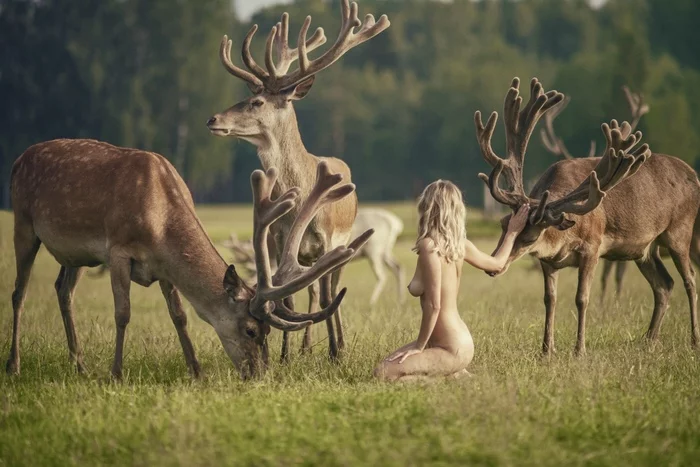 What big horns... - NSFW, Horns, Girls, Erotic, Boobs, From the network, Deer