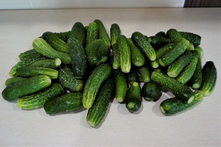 Crispy cucumbers for the winter with citric acid instead of vinegar - My, Pickles, Canning, Pickling, Vegetables, Cucumbers, Food, For the winter, Blanks, Longpost