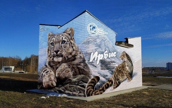 ������ �������� � ������-���