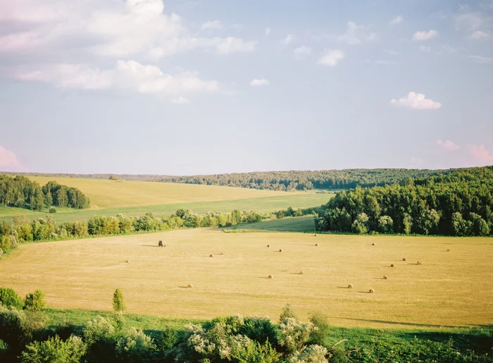 Pentax 645nii + 75mm 2.8 + Portra 160 - Моё, Фотография, Пейзаж, Пленка