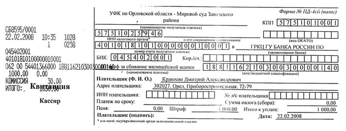 Штраф за сбивание милицейской шапки
